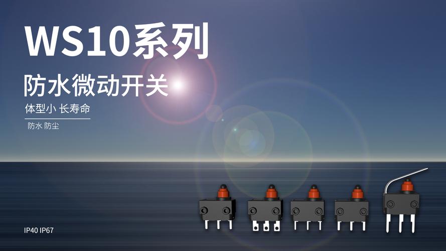 東南電子公司的微動開關(guān)產(chǎn)品主要應(yīng)用于家電行業(yè)，并逐步深入至汽車、電動工具、智能低壓電器等領(lǐng)域